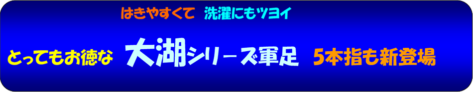 新大湖シリ－ズ軍足 5本指